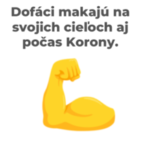 Ponuka - Mládežnícka výmena Dofákov v Litve