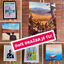 Princom podpísaná grafika či originálna maľba.  Začína sa DofE dražba 