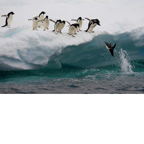 Rozvoj talentu - Seminár pre mladých lídrov cez RMS