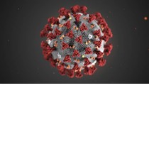 Vypuknutie vírusu COVID-19